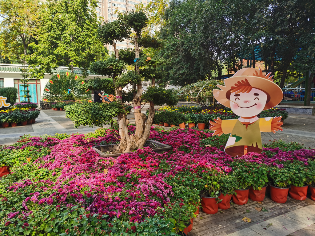 郑州日报郑州日报郑州观察郑报融媒