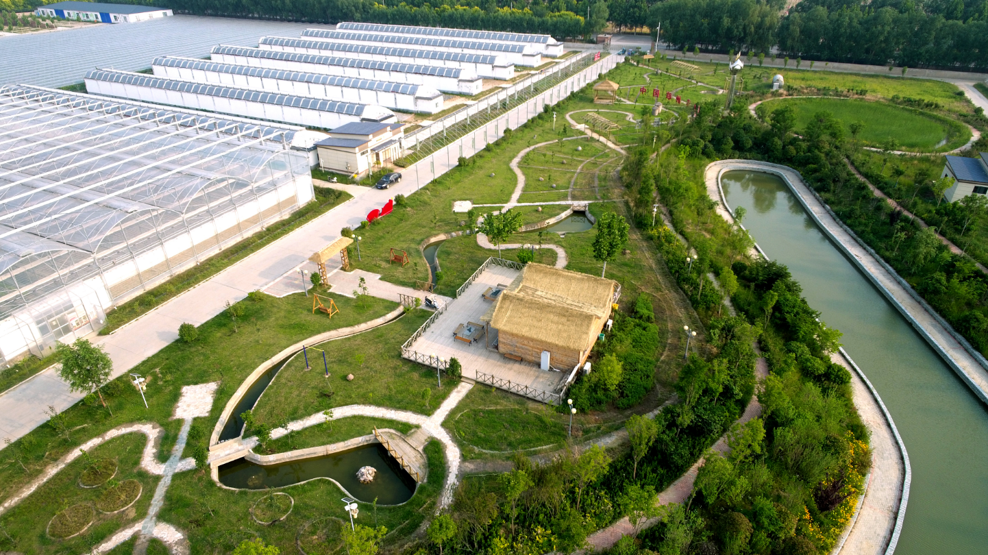 端午小长假,去体验田园采摘乐趣吧